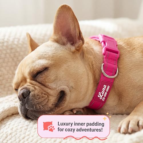 PAWBLEFY Personalized Dog Collars - Reflective Nylon Collar Customized with Name and Phone Number Adjustable Sizes for Small Dogs, Medium, Large 4 Colors Male Female boy Girl Puppies