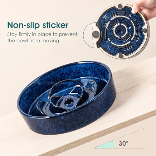vancasso Slow Feeder Dog Bowl, 0.6 Cups Ceramic Dog Food Dish for Fast Eaters Small Breed, Puzzle Bowl for Small Dogs and Cats, Blue
