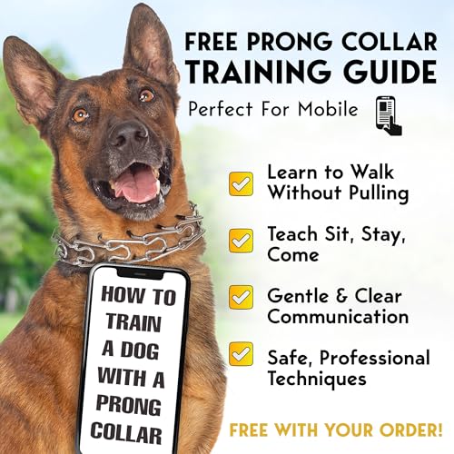 PetJett Prong Collar for Dogs - Choke Collar for Dogs, Pinch Collar for Dog Adjustable No Pull Dog Collar - Training Collar for Small Medium Large Dog Safety Durable Stainless Steel Metal Choker Chain