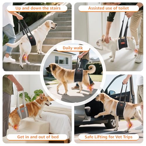 LOOBANI Portable Dog Sling for Back Legs, Hip Support Harness to Help Lift Rear for Canine Aid Old K9 Cruciate Ligament Rehabilitation