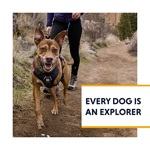 Ruffwear, Web Master, Multi-Use Support Dog Harness, Hiking and Trail Running, Service and Working, Everyday Wear, River Rock Green, Small