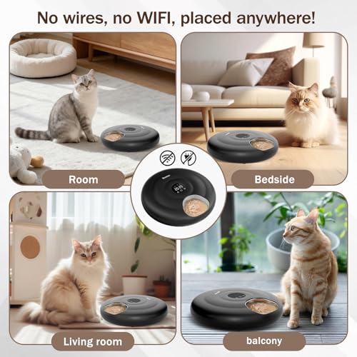 Automatic Wet Food Cat Feeder for Cats Dogs 6 Meal Timed Fresh Foods Dispenser with 2 Ice Pack (Black)