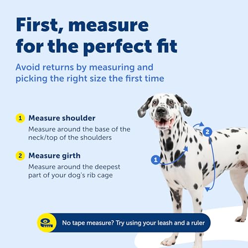 PetSafe 3 in 1 No-Pull Dog Harness for Medium Dogs- Walk, Train or Travel - Helps Pets from Pulling on Walks - Seatbelt Loop Doubles as Quick Access Handle - Reflective - Medium, Plum