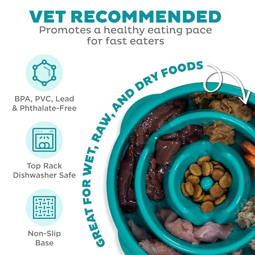 Outward Hound Fun Feeder Slo Bowl – Medium 2‑Cup Capacity, Slow Feeding, Small to Medium Dogs & Cats, Non-Slip, Turquoise, Drop Pattern