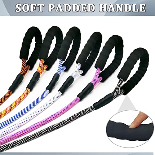 MayPaw Heavy Duty Rope Dog Leash, 3/4/6/7/8/10/12/15/20/30 FT Nylon Pet Leash, Soft Padded Handle Thick Lead Leashes for Large Medium Dogs (Black, 1/2" * 6')