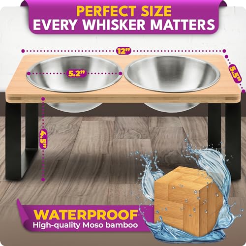 Raised cat Bowls for Indoor Cats by WinTruffles, Elevated cat Bowls, Tilted and Elevated Anti Vomiting Cat Dishes for Food and Water, Set of 2 Stainless Steel Bowl