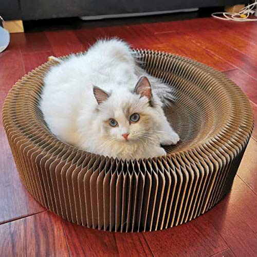 BobbyPet Cat Scratcher Lounge Bed - Collapsible Round Shape for Big Cat, Honeycomb Paper, 20 Inch