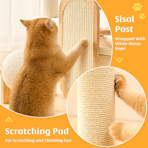 HITTITE Solid Wood Cat Tree Tower with Scratching Post, 53 Inches Tall Cat Towers with Scratching Board and Scratcher Ball, Modern Cat Tower with Space Capsule and Removable Top Bed for Indoor Cats