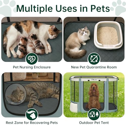 Siedihit Dog Cat Playpen Crate with Washable Pee Pad, Reinforced Durable Dog Cage, Portable Foldable Pet Kennel with Breathable Visibility (Grey with Pad, Large)