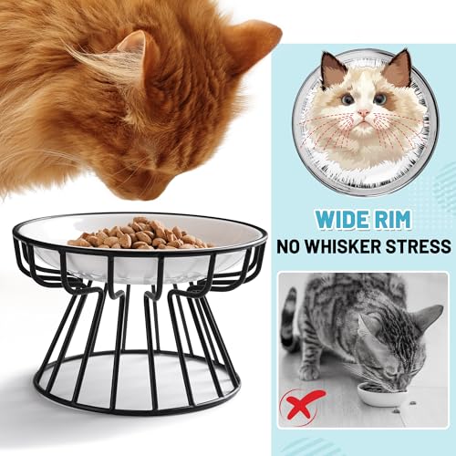 Wellbro Cat Bowls, Elevated Cat Bowl, Raised Ceramic Dish with Metal Stand, Pet Water or Food Feeding Station for Indoor Cats, Kitten, Puppies and Small Dogs, Dishwasher Safe
