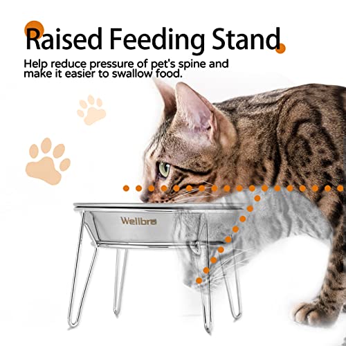 Wellbro Elevated Cat Bowls, 5.9 Inch Wide Stainless Steel Cat Food Bowls with Metal Stand Whisker Stress-Free, Raised Food and Water Dish for Cats, Kitten, Puppies and Small Dogs-2 Pack
