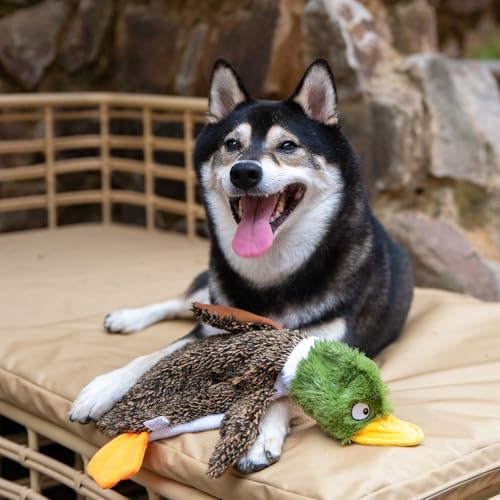 Best Pet Supplies Squeaky Dog Toys with Soft Durable Fabric for Small, Medium and Large Pets Interactive Toy for Indoor Play, Supports Active Biting and Play - 1Wild Duck, Small