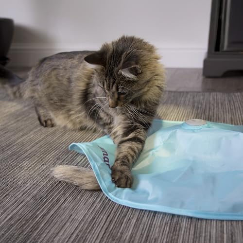 SmartyKat Hot Pursuit Electronic Concealed Motion Cat Toy, Unpredictable Erratic Movement Mimics Prey for Active Hunting for Cats & Kittens, Battery Powered