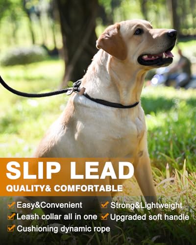 lynxking Slip Lead Dog Leash, 6 FT x 1/2" Heavy Duty Dog Loop Leashes, Comfortable Strong Rope Slip Leash for Dogs