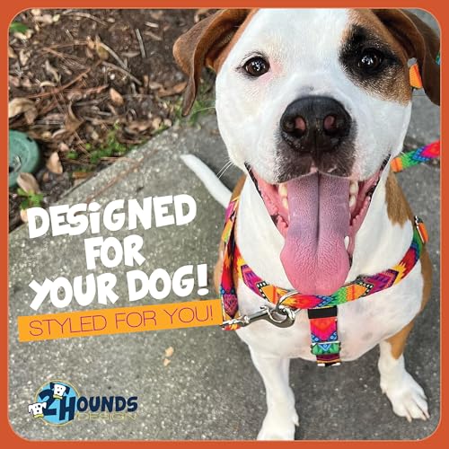 2 Hounds Design Freedom No Pull Dog Harness, Adjustable Harness, Easy Walking & Comfortable Control, Fits Small, Medium & Large Dogs, Solid Colors, Made in USA, 1" LG, Red