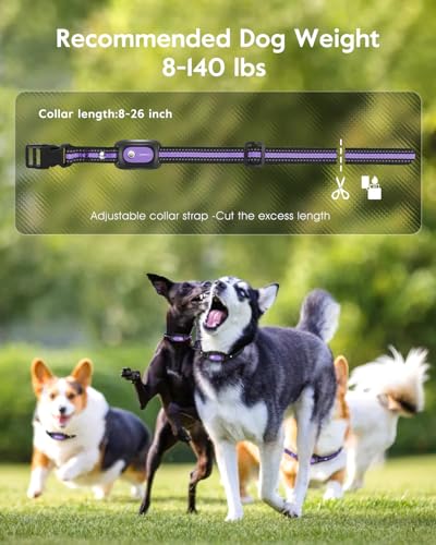 SLOPEHILL Dog Shock Collar - 4200FT Dog Training Collar with Remote,IPX8 Waterproof E-Collar with Beep,Vibration,Shock,Flash Light,No Shock Model,Electric Shock Collar for Dogs 8-140lbs,Purple 2PCS