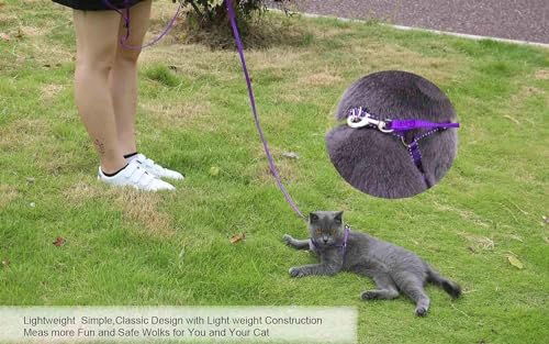 AMAGOOD 6 FT Puppy/Leash, Strong Traditional Style with Easy to Use Collar Hook, Great for Small, Medium and Large Dogs (5/8in x 6 ft, Purple)
