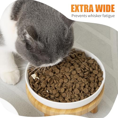Lusifaco Shallow Elevated Cat Bowls,5.9 Inch Wide Raised Ceramic Cat Dishes with Bamboo Stand, Whisker Friendly Pet Water or Food Plates Feeding Station for Indoor Cats, Kitten(White,Set of 2)