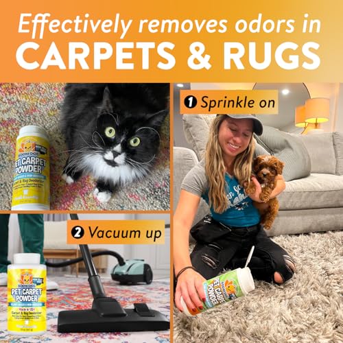 Bodhi Dog Natural Carpet Deodorizer Powder - Dry Pet Smell Eliminator & Urine Odor Remover - Loosens Fur & Dirt - Plant-Based Room Freshener for Vacuuming Home - Fresh Laundry (Pack of 1)