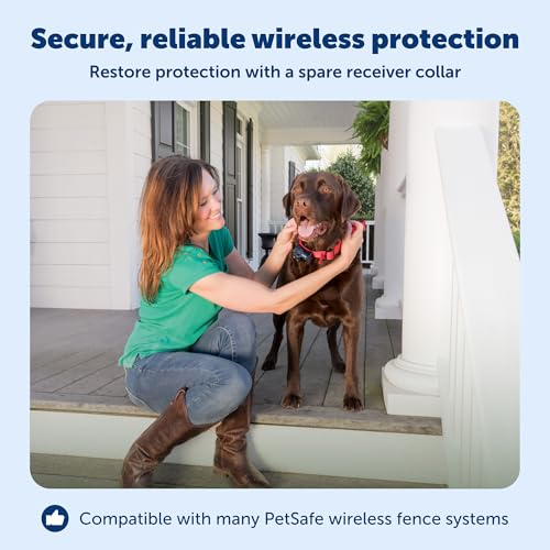 PetSafe Wireless Pet Fence Containment System Receiver Collar Only for Dogs and Cats Over 8 lbs., Waterproof with Tone and Static Correction - from The Parent Company of Invisible Fence Brand