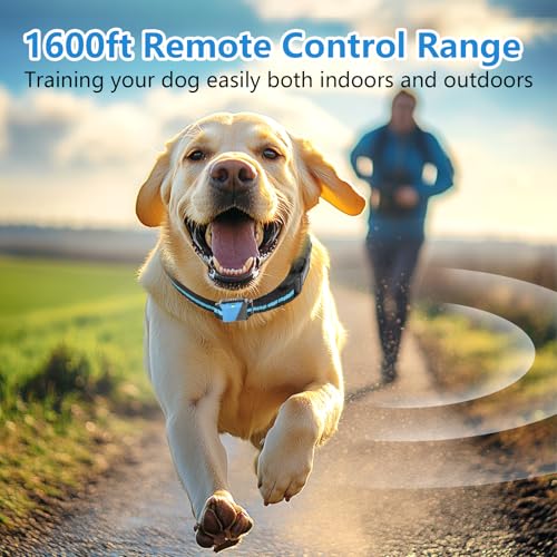 Snsng Shock Collar for Dogs, Dog Training Collar with Remote Control for 2 Dogs, 3 Training Modes with Beep, Vibration and Satic, Waterproof, Rechargeable for Large Medium