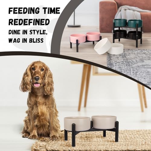 Raised Ceramic Dog Bowl Set - Elevated Double Dishes with Stainless Steel Stand - Food and Water Bowls for Small to Medium Dogs - Each Holds 3.5 Cups (29.57 fl oz) - Grey