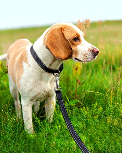 FunTags 6FT Black Reflective Dog Leash for Large & Medium Dogs Walking, Soft Padded Handle Comfortable Grip, Heavy Duty Nylon, Reflective for Night Walking, 1in Wide