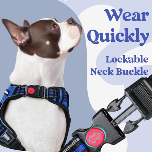 rabbitgoo Dog Harness for Large, No Pull Easy On & Off with 3 Buckles Pet Harness, Adjustable Soft Walking Vest with 2 Clips and Handle, Reflective for Large Dogs, Blue, L