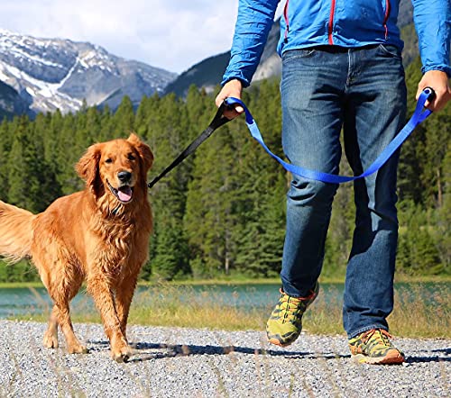 Leash Boss Original - Heavy Duty Dog Leash for Large Dogs - No Pull Double Handle Training Lead for Walking Big Dogs - Dog Leashes with Padded Handle for Control and Safety (Blue)