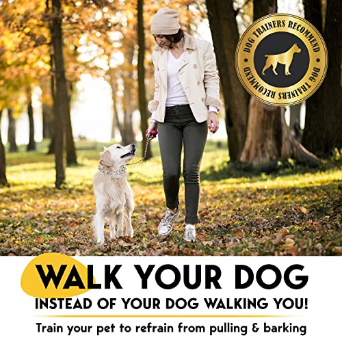 PetJett Prong Collar for Dogs - Choke Collar for Dogs, Pinch Collar for Dog Adjustable No Pull Dog Collar - Training Collar for Small Medium Large Dog Safety Durable Stainless Steel Metal Choker Chain