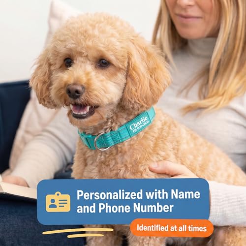 PAWBLEFY Personalized Dog Collars - Reflective Nylon Collar Customized with Name and Phone Number Adjustable Sizes for Small Dogs, Medium, Large 4 Colors Male Female boy Girl Puppies