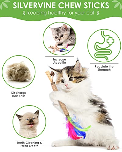 TINDTOP Silvervine Chew Sticks for Cats, Natural Catnip Chew Toys for Kittens Teeth Cleaning, Matatabi Dental Care, Increase Appetite, Calm Cat Anxiety and Stress, Cat Dental Toy (3 Pack)