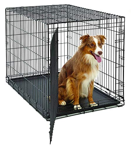 MidWest Homes for Pets Large LifeStages Single Door 42-Inch Folding Dog Crate, Enhanced Security, Includes Leak-Proof Pan, Divider Panel, Handle, Rubber Feet