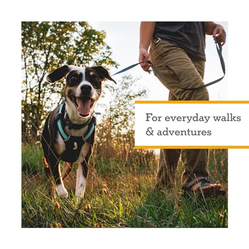 Ruffwear, Hi & Light, Everyday Lightweight Dog Harness, Trail Running, Walking, Hiking, All-Day Wear, Basalt Gray, Small