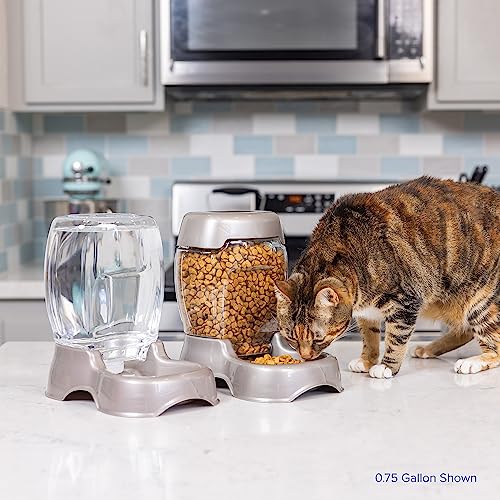 Petmate Pet Cafe Cat and Dog Gravity Water Dispenser - Water Bowl for Cats and Dogs, USA Made, 0.75 GAL, Pearl Gray