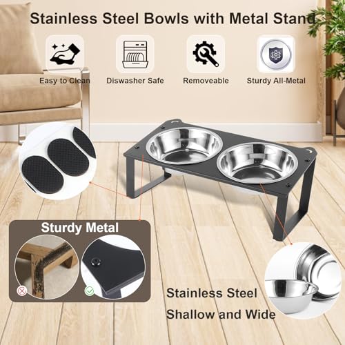 2 Set Elevated Cat Food Water Bowls, 4 Stainless Steel Bowls for Indoor Pet with Cute Metal Stand, 10° Tilted Anti-Vomiting Wide Shallow Raised Cat Dishes Whisker Friendly for Multiple Kitten,Puppy