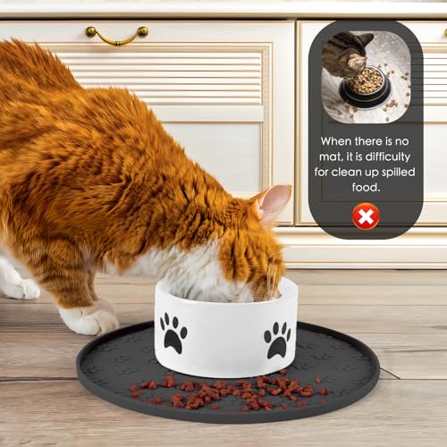 Silicone Pet Food Mat - Waterproof Dog & Cat Feeding Mat with High Lip to Prevent Spills & Protect Floors, Black