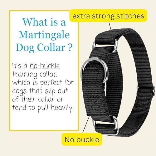 Country Brook Petz - Martingale Dog Collar - Heavy-Duty Training Collar with No Buckle - Service Dog Collar for All Pups - 20 Vibrant Colors (Black, 1 Inch, Medium)