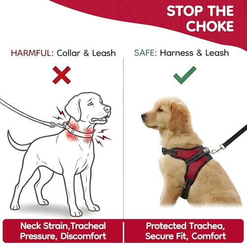 Copatchy No Pull Reflective Adjustable Dog Harness with Handle- Comfortable Soft All Weather Mesh, Easy On Puppy Harness for Small Medium and Large Dogs (Red) Small