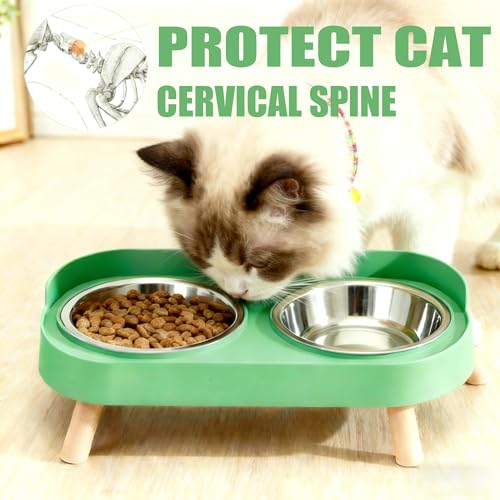 Elevated Cat Bowls, 2 Stainless Steel Raised Cat Food and Water Bowl Set, Splash Proof & Non-Slip, Whisker Fatigue Friendly, Dishwasher Safe for Cats and Small Dogs - Green