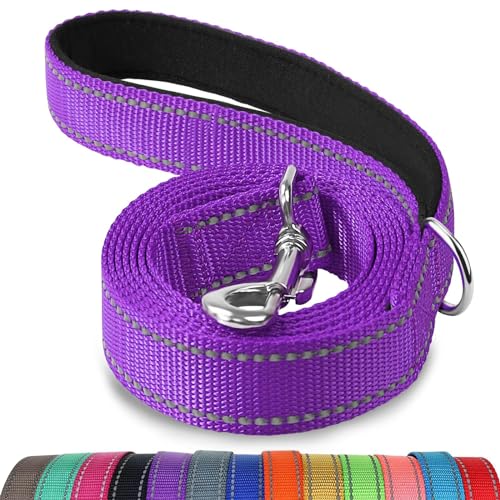 Joytale Dog Leash, 6 FT Double-Sided Reflective, Padded Handle Nylon Heavy Duty Leashes for Medium & Large Dogs Walking, Purple