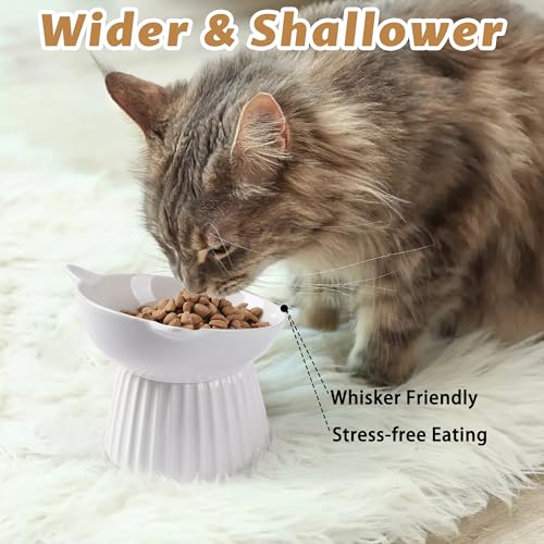 Wellbro Ceramic Raised Cat Bowl，Tilted Raised Bowl Anti Vomit Bowls for Indoor Cats Whisker Friendly Pet Feeder for Cats Puppies, Microwave and Dishwasher Safe