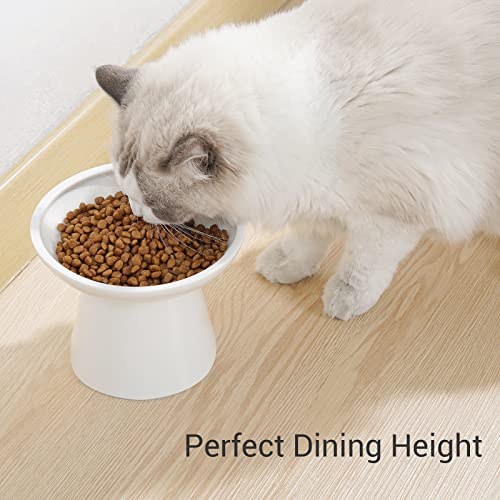 CEEFU Extra Wide Elevated Ceramic Cat Bowl - 6.2" Shallow Dish for Whisker Fatigue Relief, 5" Height for Easy Feeding, Lead & Cadmium Free, Durable Raised Cat Food Bowls, White