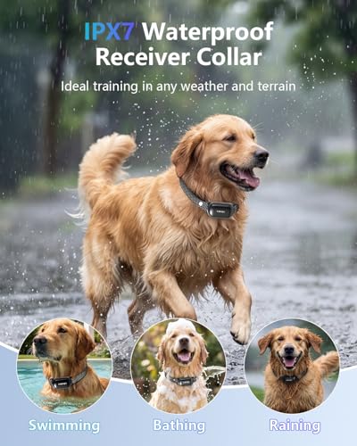 PATPET Shock Collar for Dogs - 4000FT Dog Training Collar with Remote, IPX7 Waterproof 4 Modes(Beep/Vibration/Shock/Safe) Dog Shock Collar, Rechargeable E-Collar for Small Medium Large Dogs(Dark Grey)