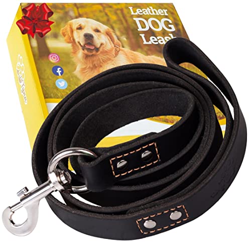 ADITYNA Leather Dog Leash 6 ft x 3/4 inch - Soft, Strong, Heavy Duty for Large & Medium Breeds - Dog Lead for Walking, Training, Hiking and Running (Black)