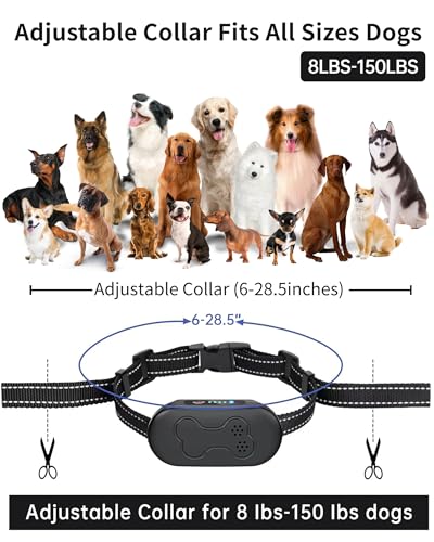 Asrcs Shock Collar for Dogs 2 Dogs (15-120lbs) 2000FT Dog Shock Collar with Remote Control Waterproof Dog Training Collar with Remote 4 Safe Modes Rechargeable Lock Flash Light for All Breeds - Black