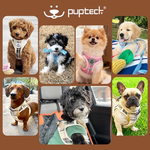 PUPTECK Adjustable Dog Harness Collar and Leash Set Step in No Pull Pet Harness for Small Medium Dogs Puppy and Cats Outdoor Walking Running, Soft Mesh Padded Reflective Vest Harnesses, Beige S