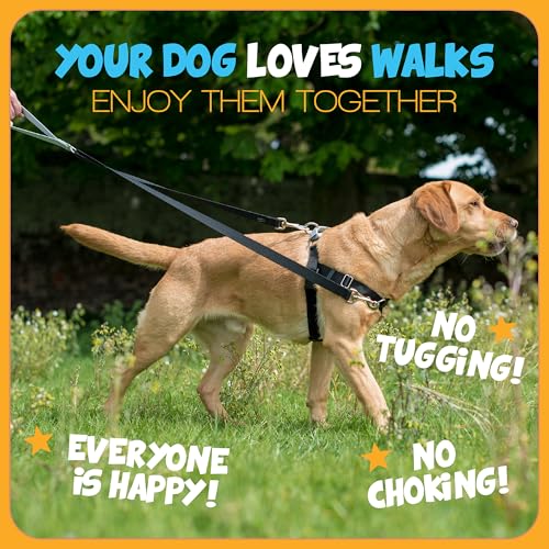 2 Hounds Design Freedom No Pull Dog Harness, Adjustable Harness, Easy Walking & Comfortable Control, Fits Small, Medium & Large Dogs, Solid Colors, Made in USA, 1" LG, Red