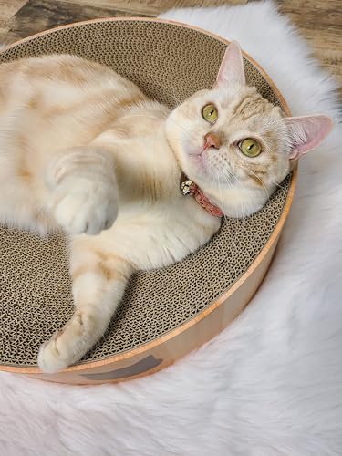 Necoichi Cat Scratcher Bowl for Indoor Cats - Cat Scratching Lounger with Reversible Usability and Extra Comfort for Lounge, Cardboard Bed Couch / (Regular, Oak)