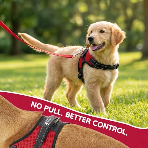 Copatchy No Pull Reflective Adjustable Dog Harness with Handle- Comfortable Soft All Weather Mesh, Easy On Puppy Harness for Small Medium and Large Dogs (Red) Small